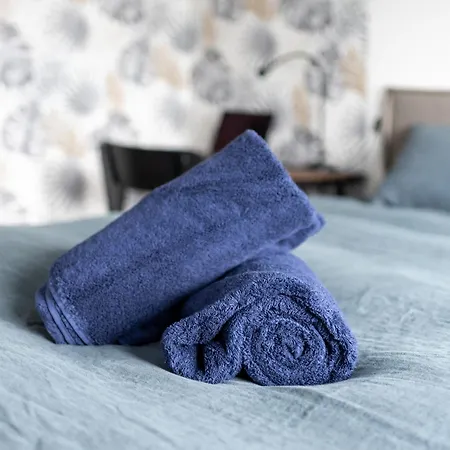 Apartment Close To Center, Ac And Car Park Toulouse