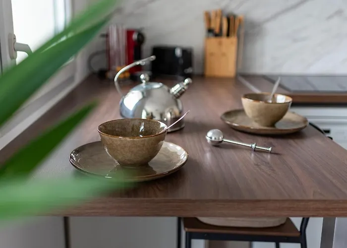 Close To Center, Ac And Car Park Toulouse