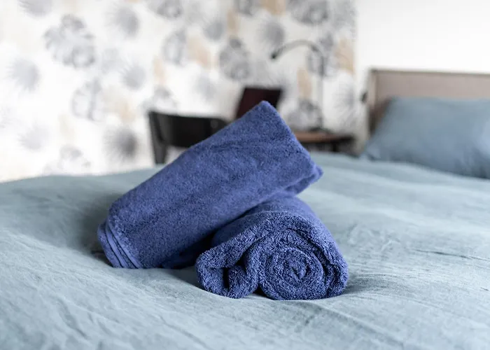 Apartment Close To Center, Ac And Car Park Toulouse